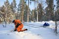 FinnFoto_220194